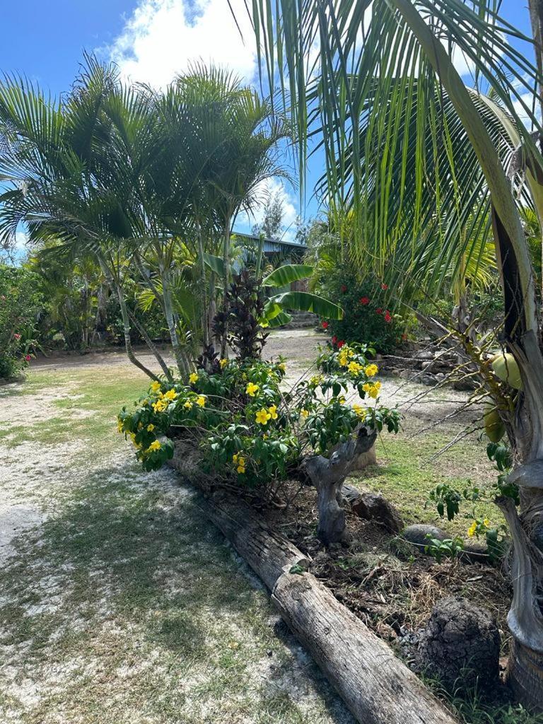 Lily Pad Lodge Bambou 外观 照片